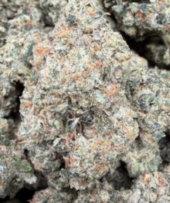 Toad Venom (A+ Grade) Indoor Flower by Tumbado Gardens "EXOTIC" - Image 2
