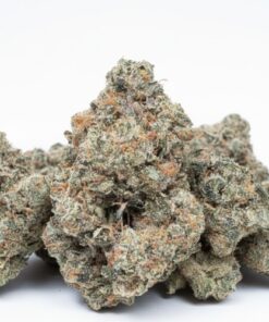 Toad Venom (A+ Grade) Indoor Flower by Tumbado Gardens "EXOTIC"