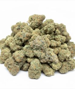 Gelato 41 (A Grade) Indoor Flower by Tumbado Gardens