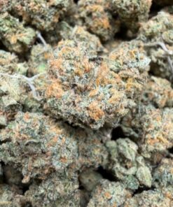 Rainbow Beltz (A Grade) Indoor Flower "SMALL BUDS" - Image 2