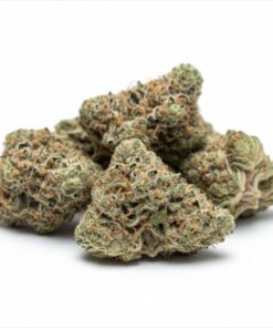 Rainbow Beltz (A Grade) Indoor Flower "SMALL BUDS"