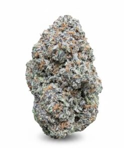 Animal Crackers (A Grade) Indoor flower