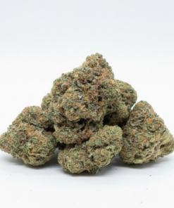 Black Gelato (A Grade) Indoor Flower