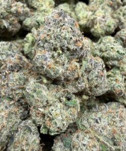 Ben N Cherries (A Grade) Mixed Light Indoor By North Country Pharms - Image 2