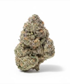 Ben N Cherries (A Grade) Mixed Light Indoor By North Country Pharms