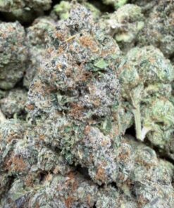 Space Runtz (A Grade) Mixed Light Indoor By North Country Pharms ** - Image 2