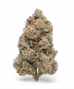 Space Runtz (A Grade) Mixed Light Indoor By North Country Pharms **