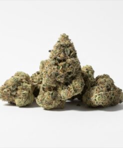 Sherbanger (A+ Grade) Mixed Light Indoor Flower **
