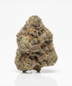 Hot Ice (A+ Grade) Mixed Light Indoor Flower