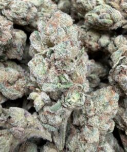 Blue Nerds (B+ Grade) Greenhouse Flower - Image 2