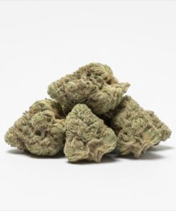 Blue Nerds (B+ Grade) Greenhouse Flower