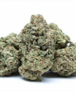 888 (B Grade) Greenhouse Flower