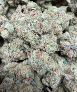 Lemon Cherry Gelato (B Grade) Greenhouse Flower - Image 2
