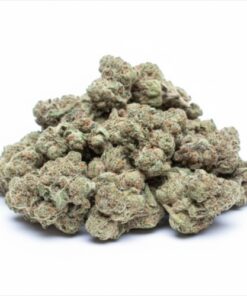 Lemon Cherry Gelato (B Grade) Greenhouse Flower