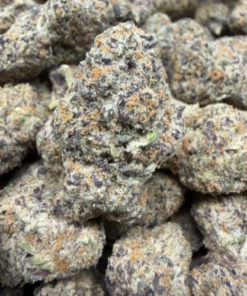 Zoasty (B+ Grade) Indoor Flower # - Image 2