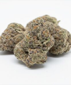 Zoasty (B+ Grade) Indoor Flower #