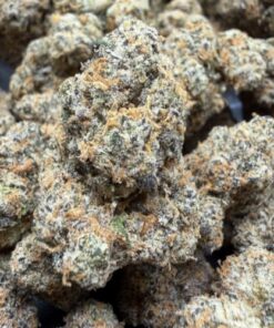 Versace (B+ Grade) Indoor Flower Buds # - Image 2