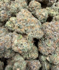 Golden Ticket (A Grade) Indoor Flower BIG Buds By Tumbado Gardens "Now A Direct Wholesaler" - Image 2