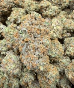 Guava Gas (A Grade) Indoor Flower BIG Buds By Tumbado Gardens "Now A Direct Wholesaler" - Image 2