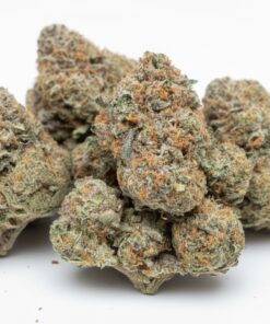 Guava Gas (A Grade) Indoor Flower BIG Buds By Tumbado Gardens "Now A Direct Wholesaler"