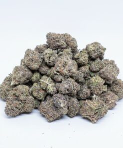 MOAB (A Grade) Indoor Flower BIG Buds By Tumbado Gardens "Now A Direct Wholesaler"