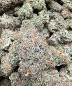 Gelato 41 (A Grade) Indoor Flower BIG Buds By Tumbado Gardens "Now A Direct Wholesaler" - Image 2