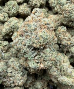Toad Venom 🐸 (A+ grade) Indoor Flower By Tumbado Gardens "Tea Grown" - Image 2