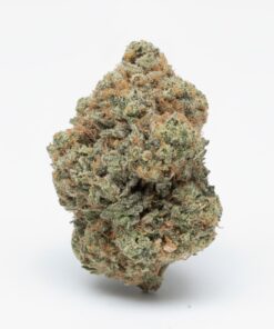 Toad Venom 🐸 (A+ grade) Indoor Flower By Tumbado Gardens "Tea Grown"
