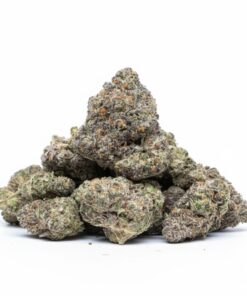 Blue Gummy 🫐 (A+ grade) Indoor Flower SMALL BUDS By Tumbado Gardens "Tea Grown" EXOTIC TERPS