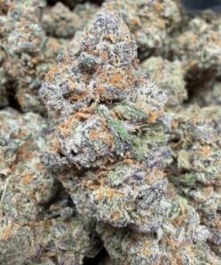 🥜 Pistachio Gelato (A+ grade) Indoor Flower By Tumbado Gardens "Tea Grown" EXOTIC TERPS - Image 2