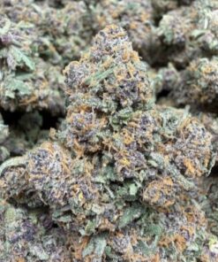 🌹 White Thorn Rose (A+ grade) Indoor Flower By Tumbado Gardens "Tea Grown" EXOTIC TERPS - Image 2