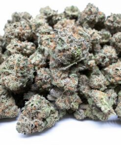 Garanimals Indoor Flower SMALL BUDS By Tumbado Gardens "Tea Grown"