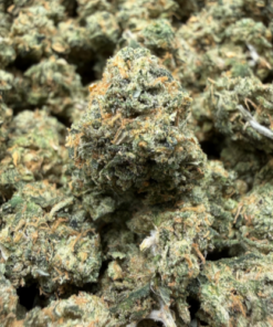 Toad Venom 🐸 (A+ grade) Indoor Flower SMALL BUDS By Tumbado Gardens "Tea Grown" - Image 2