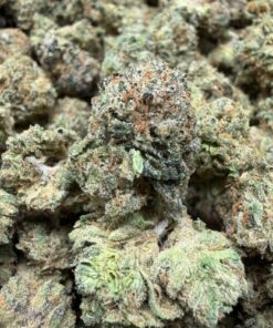 Gumbo (A grade) Indoor Flower SMALL BUDS By Tumbado Gardens "Tea Grown" - Image 2