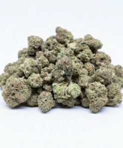 Gumbo (A grade) Indoor Flower SMALL BUDS By Tumbado Gardens "Tea Grown"