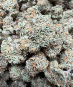 Banana Gelato (A grade) Indoor Flower SMALL BUDS By Tumbado Gardens "Tea Grown" - Image 2