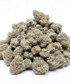 Banana Gelato (A grade) Indoor Flower SMALL BUDS By Tumbado Gardens "Tea Grown"