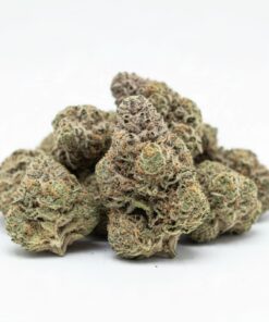 Candy Runtz (A Grade) Indoor Flower BIG Buds By Tumbado Gardens "Now A Direct Wholesaler"