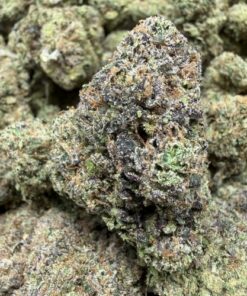 Bubblegum Gushers (A Grade) Indoor Flower BIG Buds By Tumbado Gardens "Now A Direct Wholesaler" - Image 2