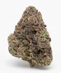 Bubblegum Gushers (A Grade) Indoor Flower BIG Buds By Tumbado Gardens "Now A Direct Wholesaler"