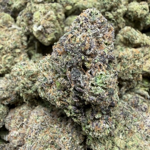 Bubblegum Gushers (A Grade) Indoor Flower BIG Buds By Tumbado Gardens "Now A Direct Wholesaler" - Image 2